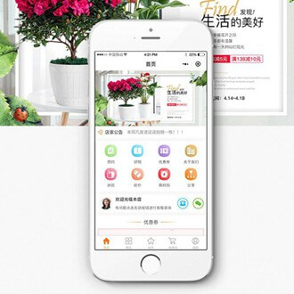 花溪门店微商城小程序开发